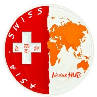 Asia - Swiss Nexus HUB logo - Similar company to u.lab Hub Ticino