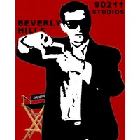 Beverly Hills 90211 Studios logo - Similar company to Edsi Solutions