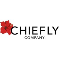 Chiefly Company Ltd. logo - Similar company to 28Studios.Design