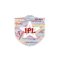 Indian Professionals Luxembourg logo - Similar company to Indian Business Chamber Of Luxembourg (Ibcl)