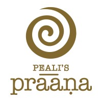 Praana Store logo - Similar company to Transcento Decor
