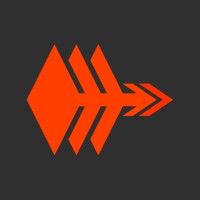 Flayer Game Studios logo - Similar company to Sev Group