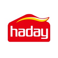 Haday logo - Similar company to Valtrion Group