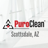 PuroClean Restoration Specialists logo - Similar company to Dmdevs