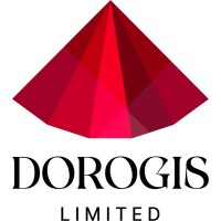 Dorogis limited logo - Similar company to Timingotech