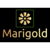 Marigold Consulting Ltd logo - Similar company to Formatix Ai