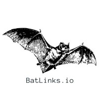 Batlinks logo - Similar company to Shared Domains