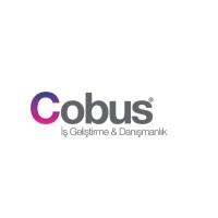 COBUS İş Geliştirme & Danışmanlık logo - Similar company to Balancer Finansal İş Zekası
