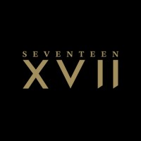 SEVENTEEN logo - Similar company to Orca Pumps Sa