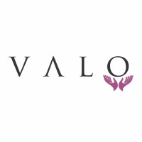 The VALO Group logo - Similar company to Lqc Partners