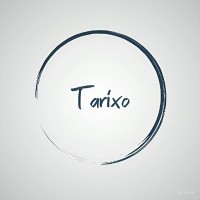 TARIXO logo - Similar company to Dreatexr