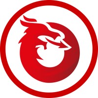 DragonSports logo - Similar company to Dragonsports