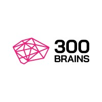 300Brains logo - Similar company to Gmi.Software