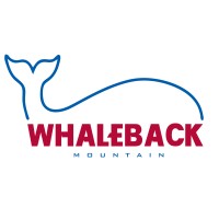 Whaleback Mountain logo - Similar company to Kid Logic Learning