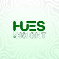 Hues Insight logo - Similar company to Pixel Difference