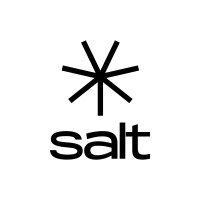 Salt logo - Similar company to Conversion