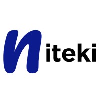 NITEKI logo - Similar company to Edinte
