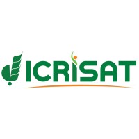 ICRISAT logo - Similar company to International Food Policy Research Institute (Ifpri)