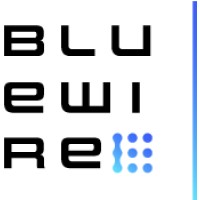 Bluewire LLC logo - Similar company to Draivn