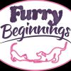 Furry Beginnings Pet Spa, Wash and Boutique logo - Similar company to Omydog