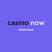 CasinoNow Nederland logo - Similar company to Win Casino
