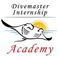Divemaster Internship Tenerife logo - Similar company to Resqvision