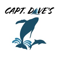 Capt. Dave's Dana Point Dolphin & Whale Watching Safari logo - Similar company to Harbor Breeze Cruises