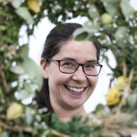 Rozkvetlá dílna logo - Similar company to Ulivilu