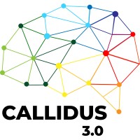 Callidus 3.0 logo - Similar company to Stream Mobile