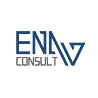 Enav Consult logo - Similar company to Capsa Group