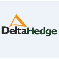 DeltaHedge logo - Similar company to Deltahedge