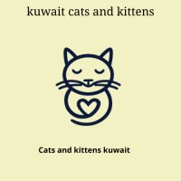 cats and kittens in kuwait logo - Similar company to Rashdan Kitchen
