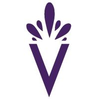 Viben Toys logo - Similar company to Viben Digital