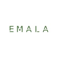 Emala FinTech logo - Similar company to Fintech Associates Limited
