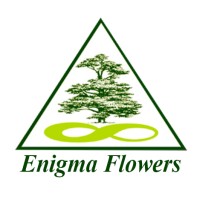 Enigma Flowers Trading B.V. logo - Similar company to Uplus Trading B.V.