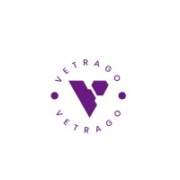 VetraGo logo - Similar company to Dropping Ghana