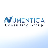 Numentica Consulting Group logo - Similar company to Nekko Tech