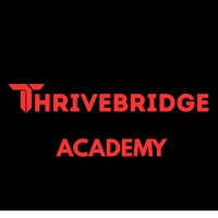 ThriveBridge Academy logo - Similar company to Thrivebridge Global