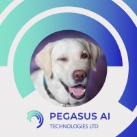 Pegasus AI Technologies logo - Similar company to Ai&Vr Game Machine