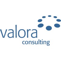 Valora Consulting GmbH logo - Similar company to Spidersys Group Deutschland