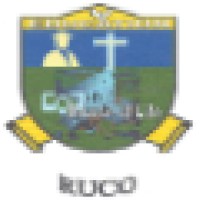 Ruaha University College logo - Similar company to Carlteq Hub