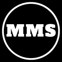 MMS Import & Export logo - Similar company to Marjaba Import & Export