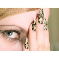 Polished Perfection WA logo - Similar company to Smartplug Systems