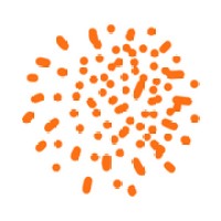 Nsoko logo - Similar company to Baotree