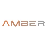 AMBER AI & Data Science Solutions GmbH logo - Similar company to Amber Ai