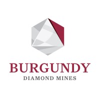 Burgundy Diamond Mines logo - Similar company to Det'On Cho Management Lp