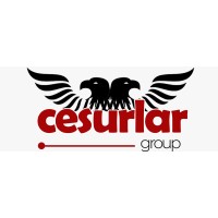 Cesurlar Group