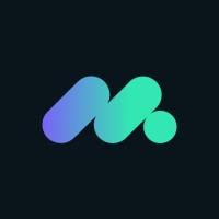 Metasecurity Solutions logo - Similar company to Meta Security Solutions Ltd