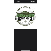 Consorcio New De Luz Eirl. logo - Similar company to Braith Asesores