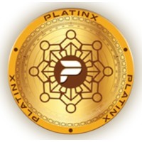 PlatinX - The Future logo - Similar company to Sublime E Solution